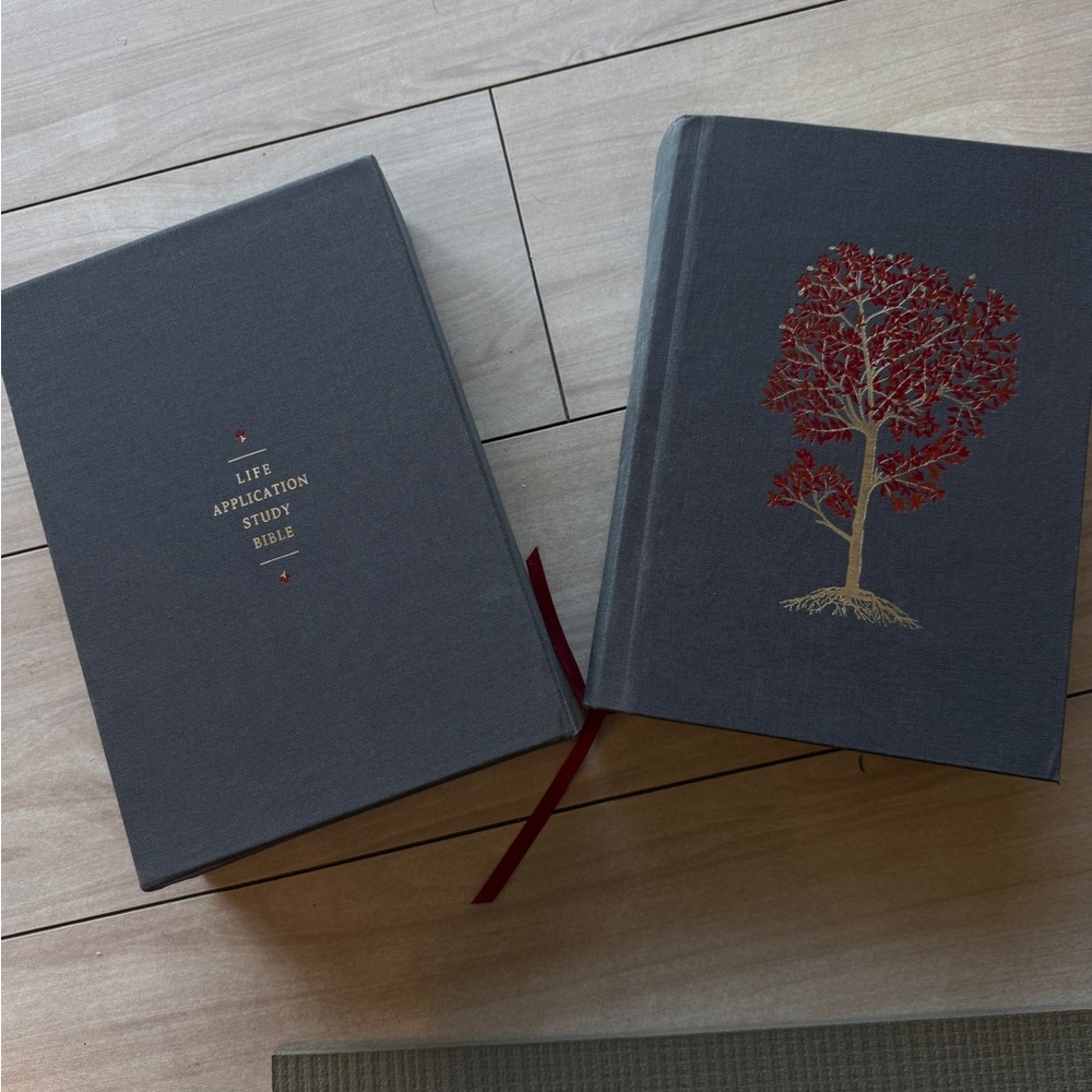 Life Application Study Bible